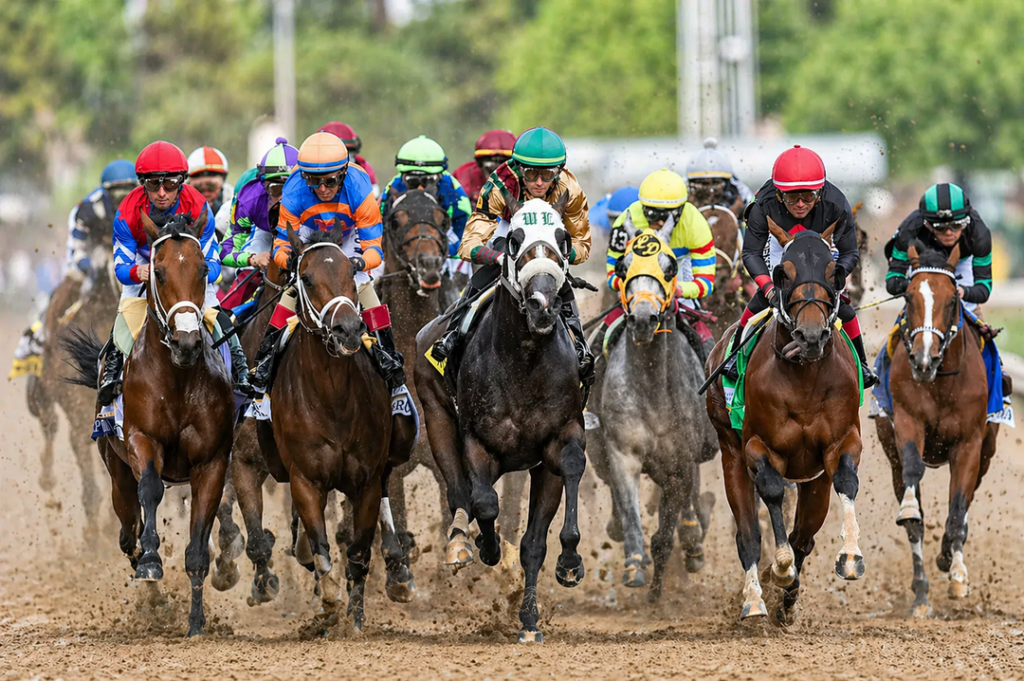 Derby betting basics