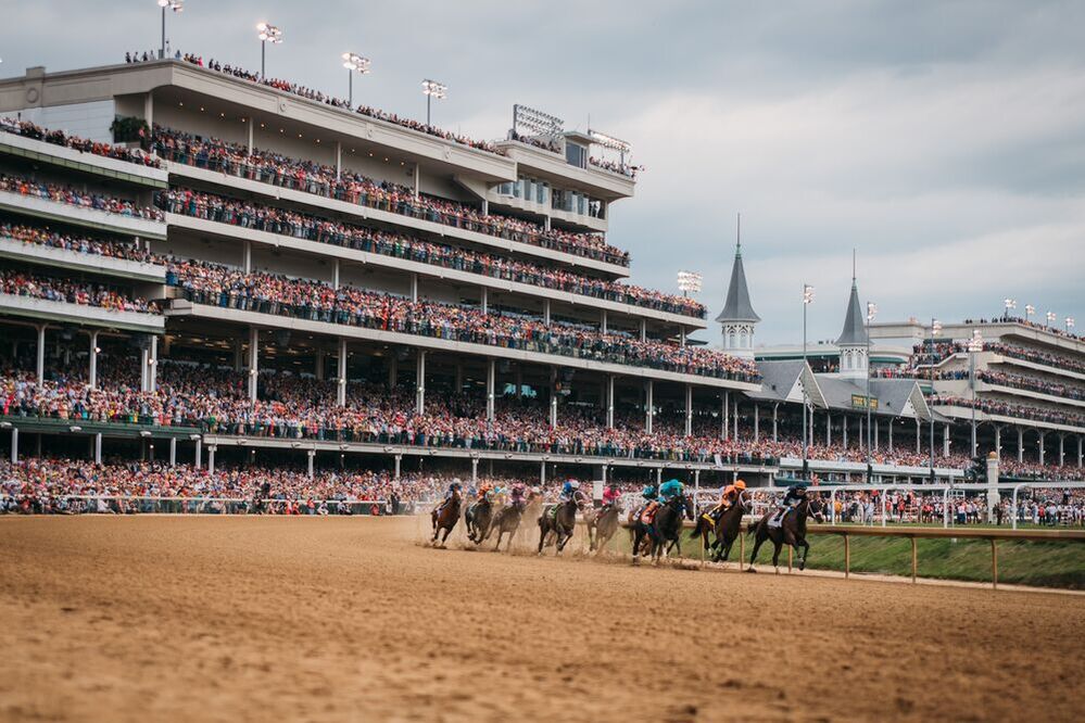 learn horse racing betting